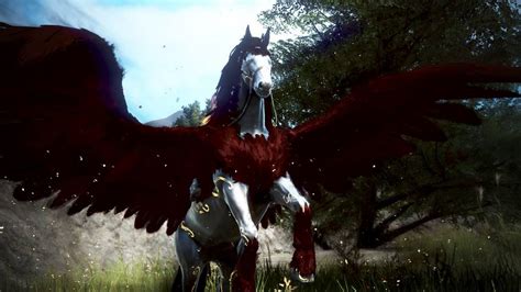 bdo dream horse arduanatt.